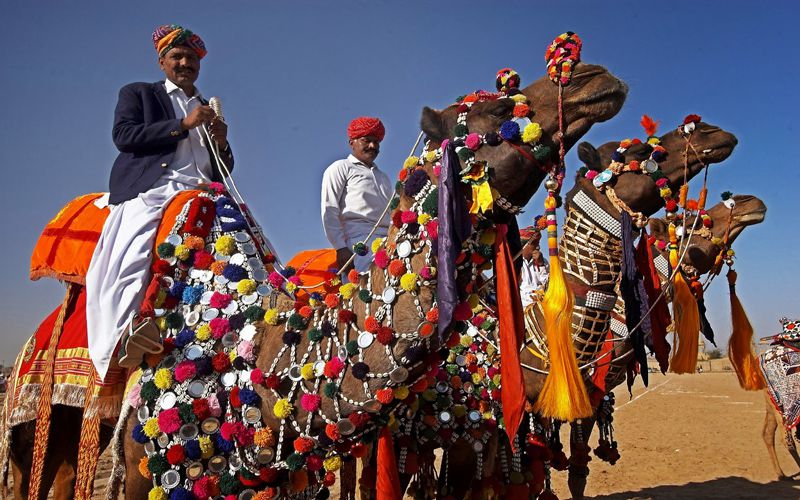 Best of Rajasthan Tour package